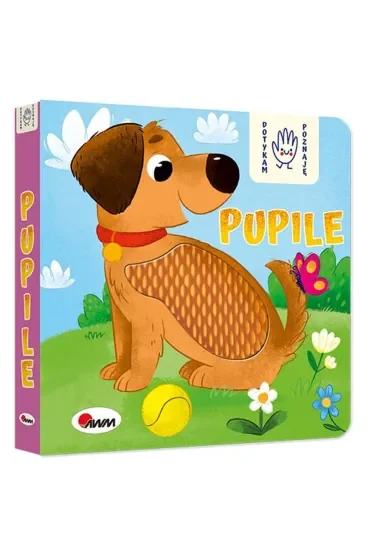 Dotykam Poznaję Pupile