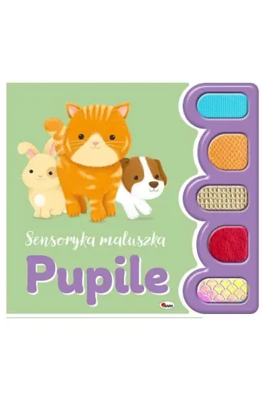 Sensoryka maluszka. Pupile