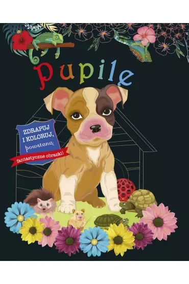 Pupile. Zdrapuj i koloruj