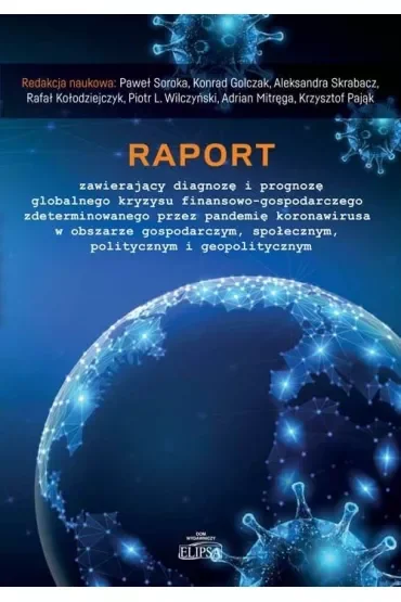 Raport zawierający diagnozę i prognozę..