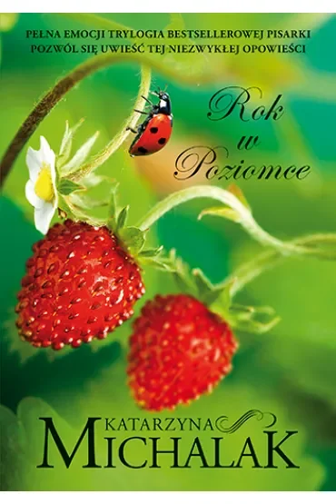 Rok w poziomce