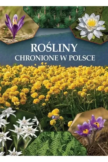 Rośliny chronione w Polsce