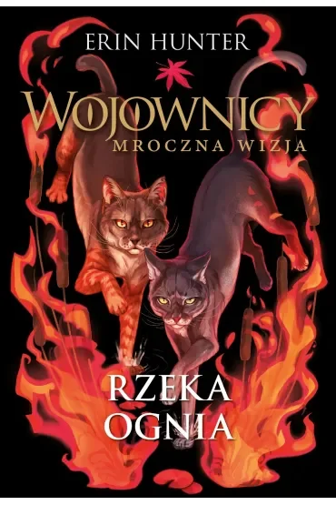 Rzeka ognia. Cykl Wojownicy. Mroczna wizja. Tom 5