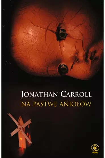 Salamandra. Na pastwę aniołów