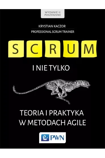 Scrum i nie tylko. Teoria i praktyka w metodach Agile