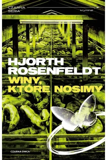 Winy, które nosimy. Sebastian Bergman. Tom 8