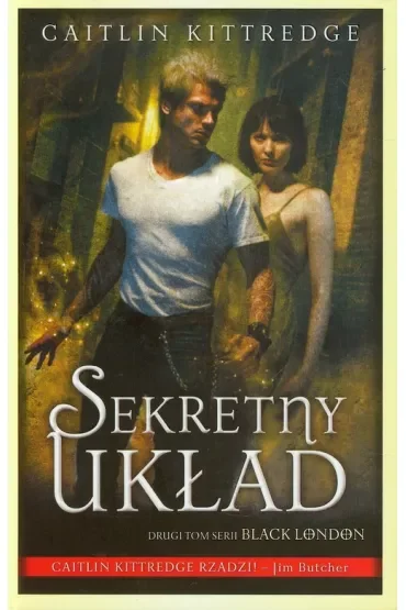 Sekretny układ