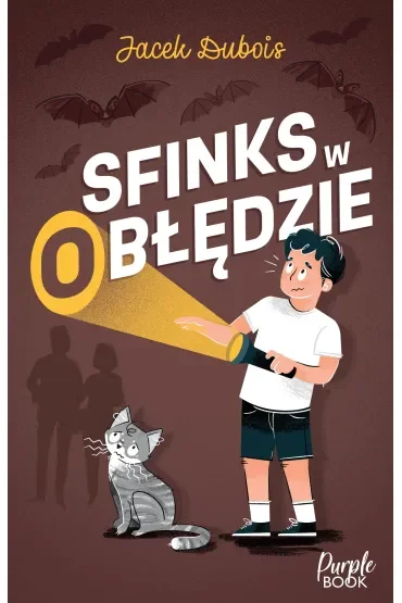 Sfinks w (o)błędzie