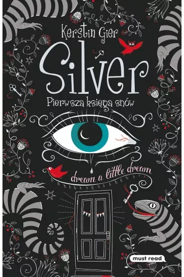 Silver. Pierwsza księga snów. Trylogia snów. Tom 1
