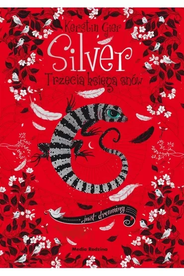 Silver. Trzecia księga snów. Trylogia snów. Tom 3