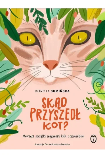 Skąd przyszedł kot?