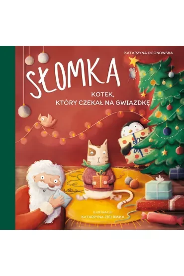 Słomka – kotek, który czekał na gwiazdkę