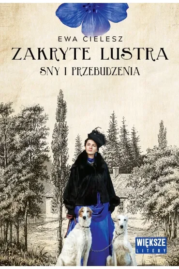 Sny i przebudzenia. Zakryte lustra. Tom 1. Większe litery