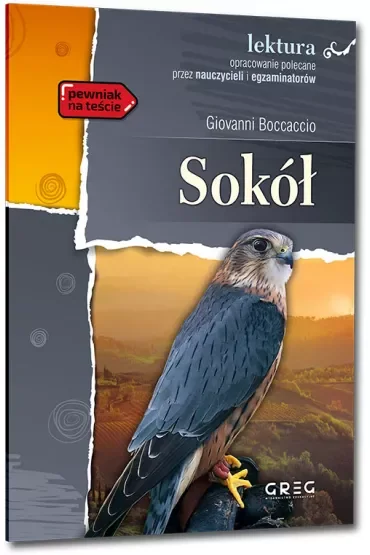 Sokół. Lektura z opracowaniem