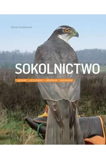 Sokolnictwo