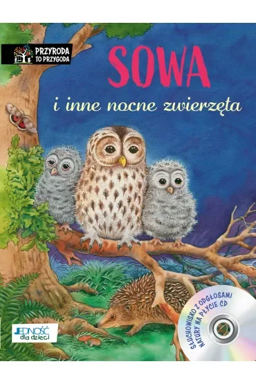 Sowa i inne nocne zwierzęta