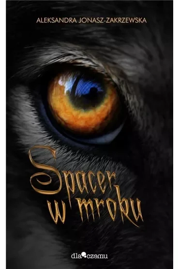 Spacer w mroku