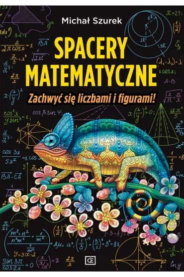 Spacery matematyczne