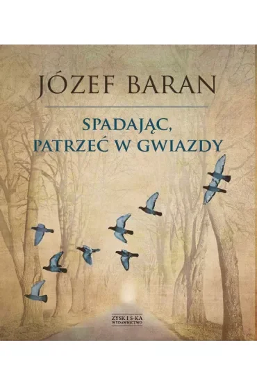 Spadając, patrzeć w gwiazdy