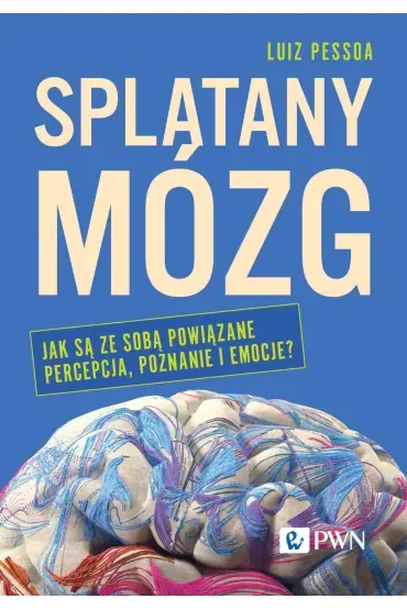 Splątany mózg