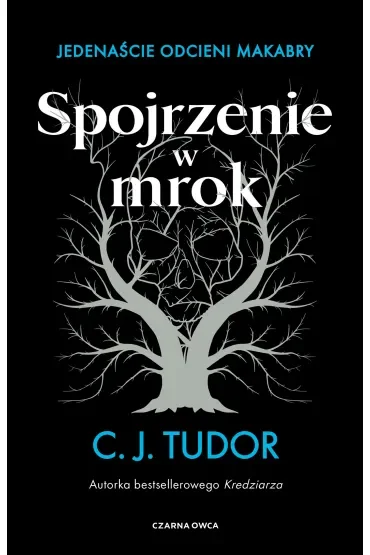 Spojrzenie w mrok. Jedenaście odcieni makabry