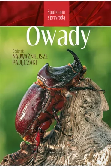 Spotkania z przyrodą. Owady