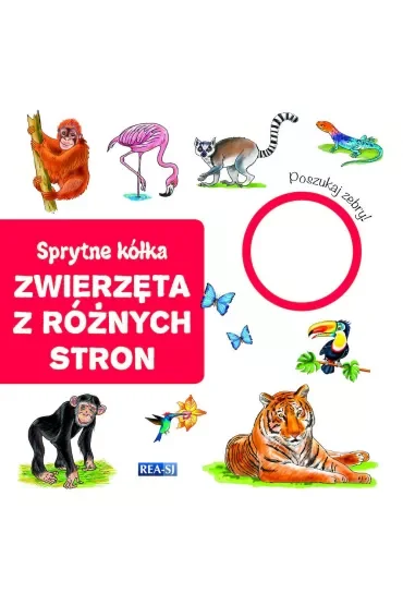 Zwierzęta z różnych stron. Sprytne kółka