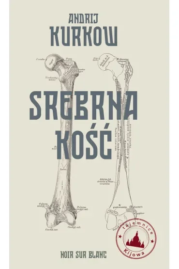 Srebrna kość. Tajemnice Kijowa. Tom 1