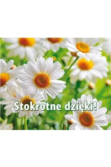 Stokrotne dzięki! Perełka 263