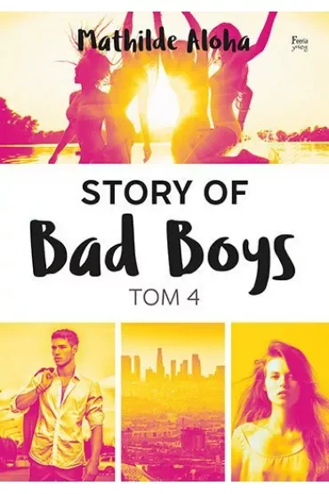 Story of Bad Boys. Tom 4