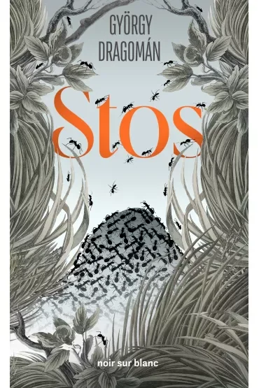 Stos