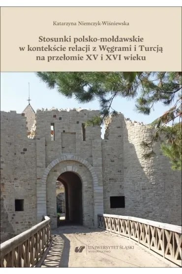 Stosunki polsko-mołdawskie w kontekście relacji z Węgrami i Turcją na przełomie XV i XVI wieku