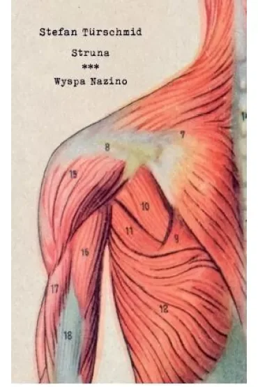 Struna Wyspa Nazino