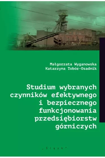 Studium wybranych czynników efektywnego i bezpiecznego funkcjonowania przedsiębiorstw górniczych