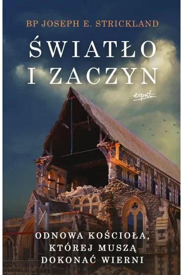 Światło i zaczyn. Odnowa Kościoła, której muszą dokonać wierni