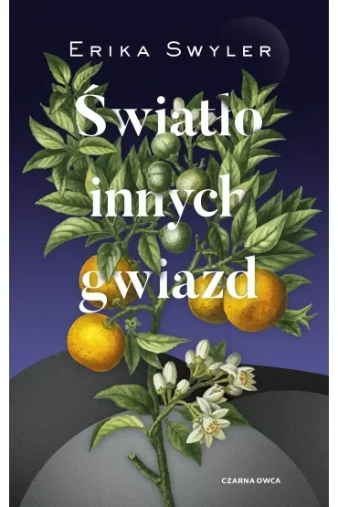 Światło innych gwiazd