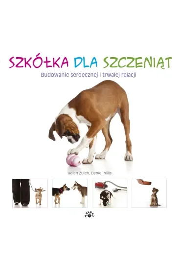 Szkółka dla szczeniąt. Budowanie serdecznej i trwałej relacji