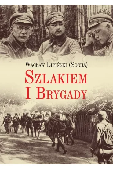 Szlakiem I Brygady. Dziennik żołnierski