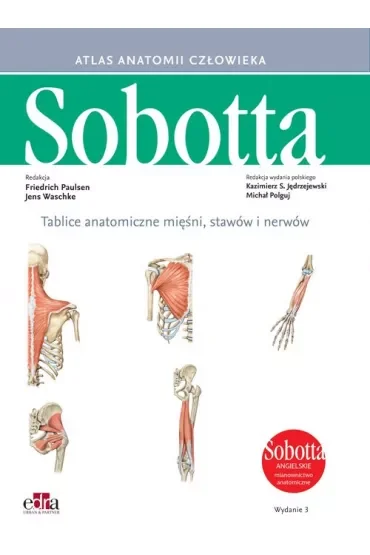 Atlas anatomii człowieka Sobotta. Tablice anatomiczne mięśni, stawów i nerwów. Angielskie mianownictwo