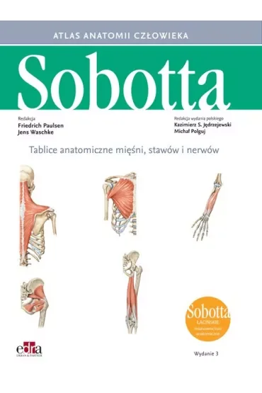 Tablice anatomiczne mięśni, stawów i nerwów