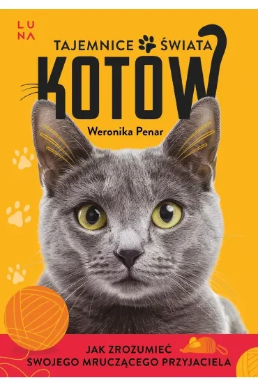 Tajemnice świata kotów