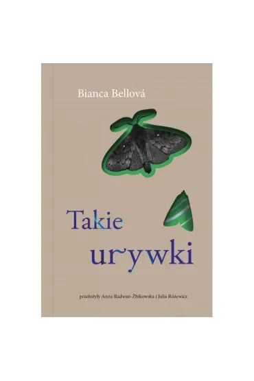 Takie urywki