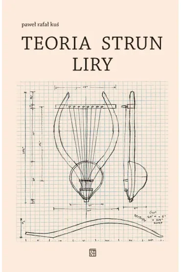 Teoria strun liry
