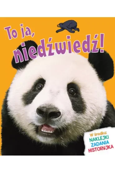 To ja, niedźwiedź!