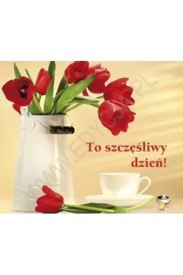 To szczęśliwy dzień! Perełka 134