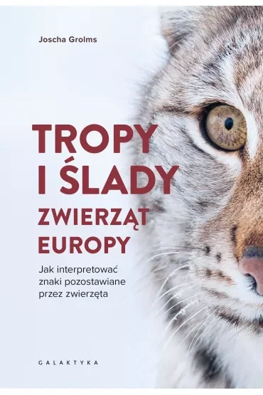 Tropy i ślady zwierząt Europy. Jak interpretować znaki pozostawiane przez zwierzęta
