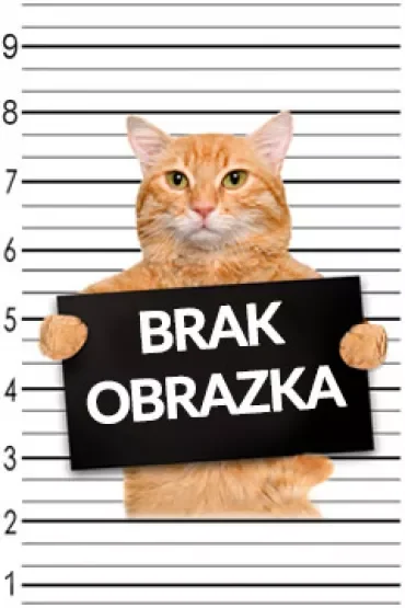 Trzy pytania naraz. Drei Fragen zugleich