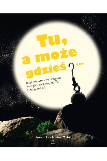 Tu, a może gdzieś… (czyli niesamowite przygody nakrętki, haczyka, kapsla i starej śrubki)