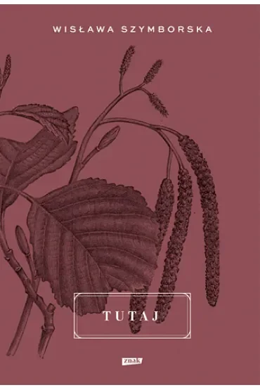 Tutaj