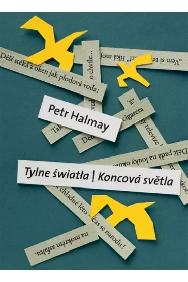 Tylne światła - Koncova svetla